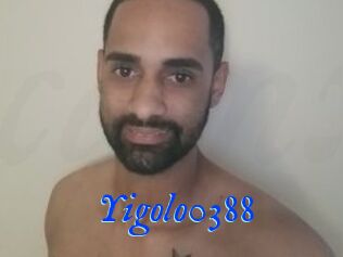 Yigolo0388