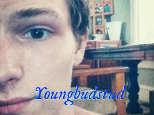 Youngbudstud