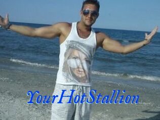 YourHotStallion