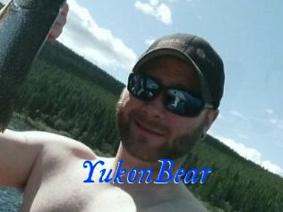 YukonBear