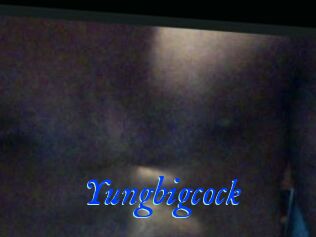 Yungbigcock