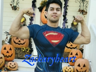 zackaryheart Cam XL
