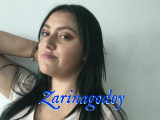Zarinagodoy