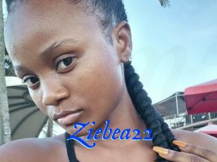 Ziebea22
