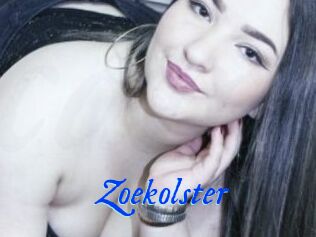 Zoekolster
